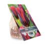 Tulip Triumph – Muvota – 5 Bulb Pack